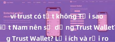 ví trust có tốt không Tại sao người dùng Việt Nam nên sử dụng Trust Wallet? Lợi ích và rủi ro