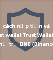 cách nạp tiền vào trust wallet Trust Wallet có hỗ trợ BNB (Binance Coin) không?