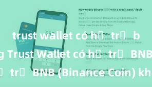 trust wallet có hỗ trợ bep20 không Trust Wallet có hỗ trợ BNB (Binance Coin) không?